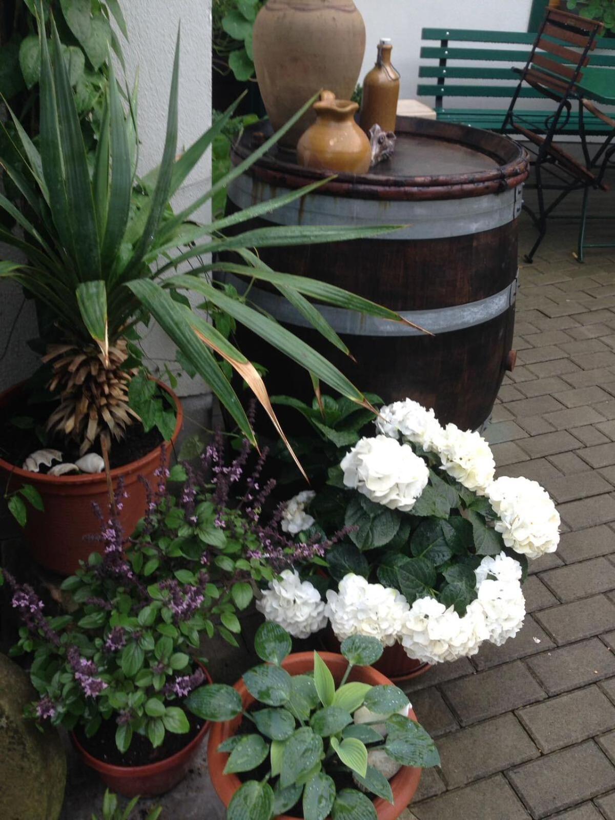 Ferienhaeusel Am Malerweg Mit Terrasse